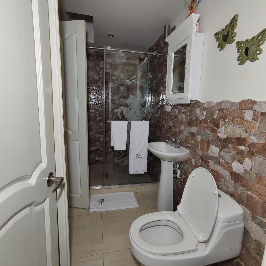 Los Andes Hostal フィランディア エクステリア 写真