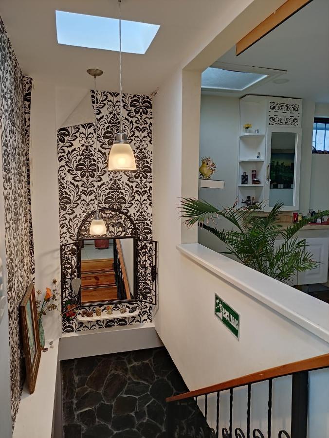 Los Andes Hostal フィランディア エクステリア 写真